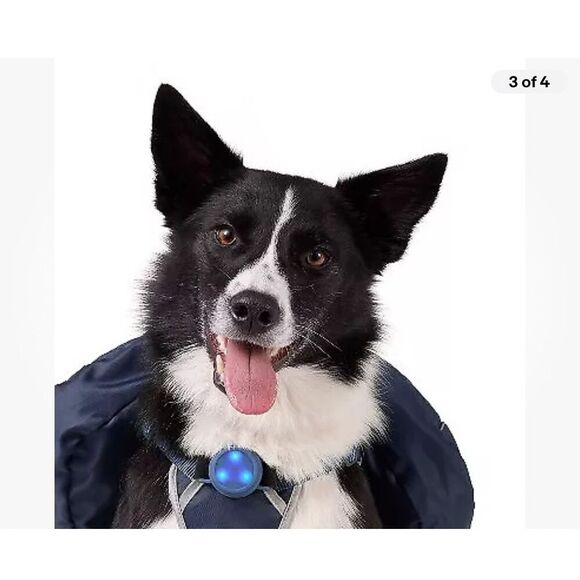 NEW Dog Backpack Harness Dark Blue The Cuddle Collab L up to 90lbs - Picture 6 of 6